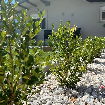 Poepoe * Τρίκαλα