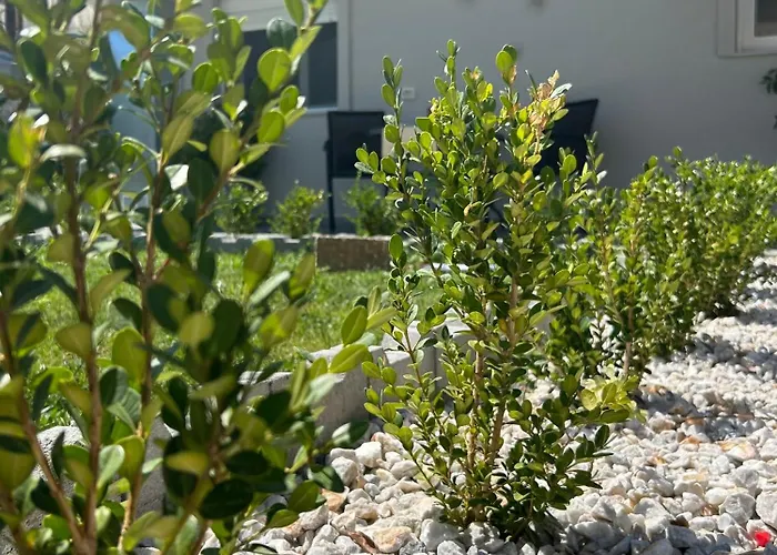 Poepoe * Τρίκαλα